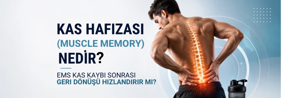 Kas Hafızası (Muscle Memory) Nedir? EMS Kas Kaybı Sonrası Geri Dönüşü Hızlandırır mı?