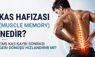 Kas Hafızası (Muscle Memory) Nedir? EMS Kas Kaybı Sonrası Geri Dönüşü Hızlandırır mı?